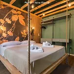 Jungle, Terre Marine 3*