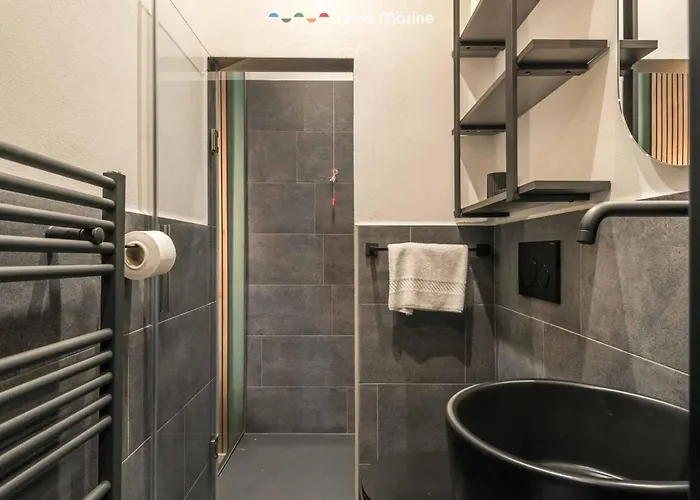 Jungle, Terre Marine